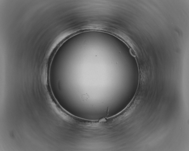 X0000112521131200908171349