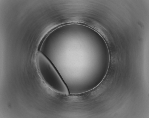X0000112521132200908171349