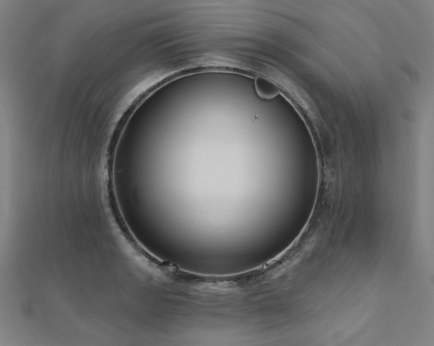 X0000112521133200908171349