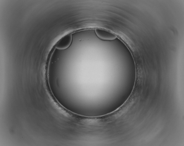 X0000112521134200908171349