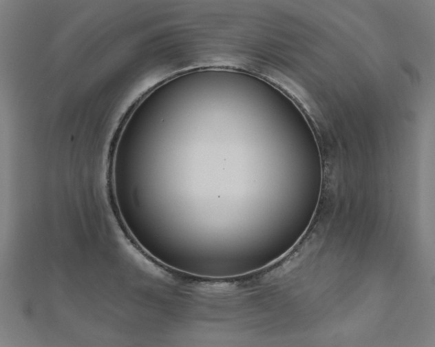 X0000112521135200908171349