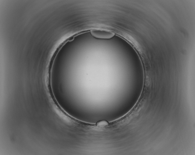X0000112521136200908171349