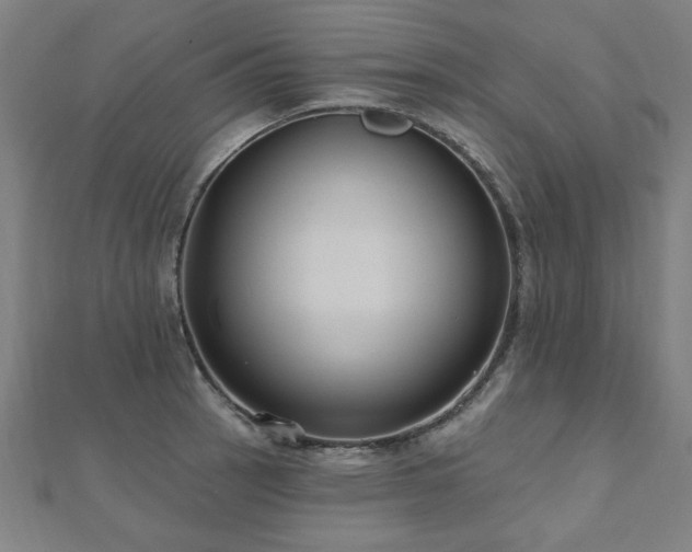X0000112521137200908171349