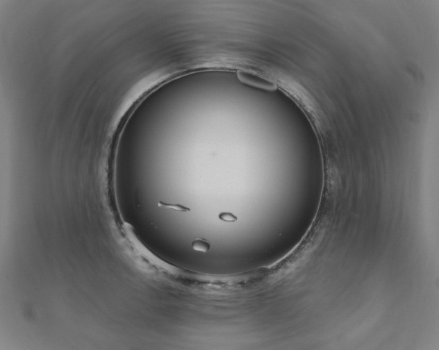 X0000112521138200908171349