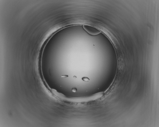 X0000112521139200908171349