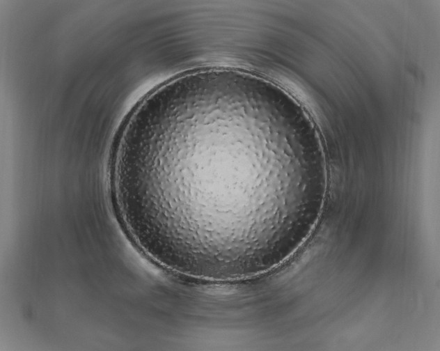 X0000112521141200908171349
