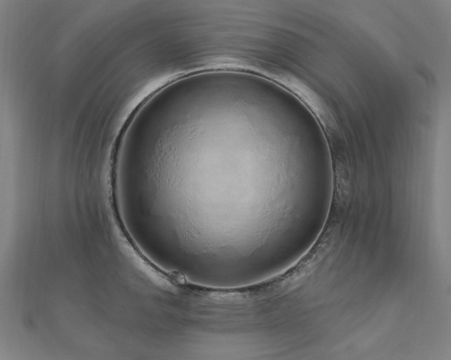 X0000112521142200908171349