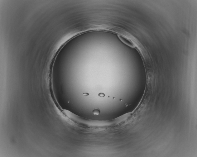 X0000112521143200908171349