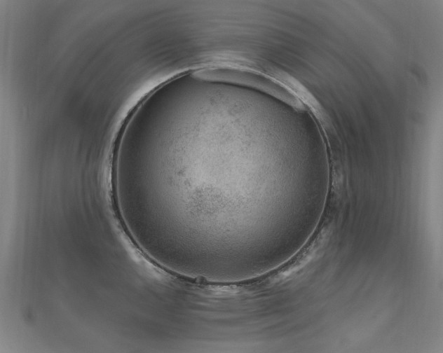 X0000112521144200908171349