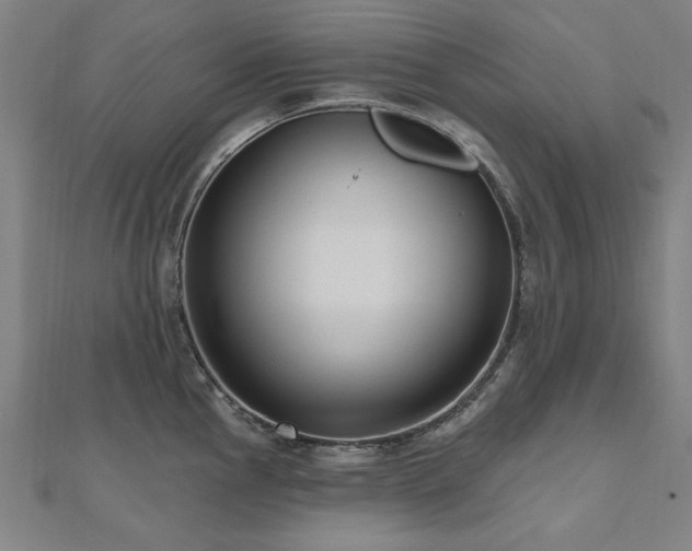 X0000112521145200908171349