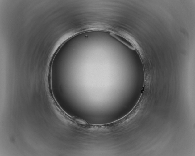 X0000112521146200908171349