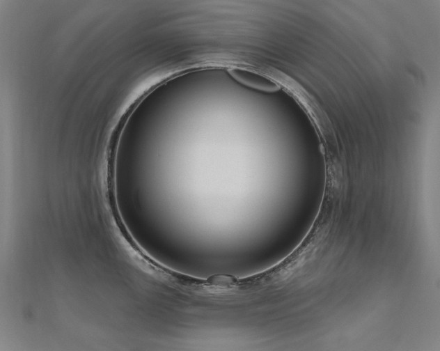 X0000112521147200908171349