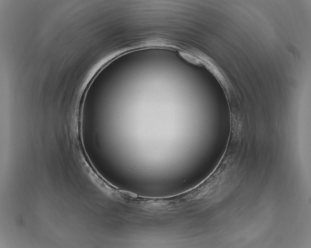 X0000112521148200908171349