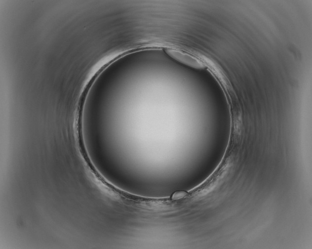 X0000112521149200908171349