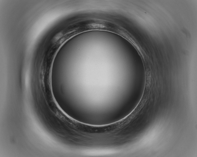 X0000112521151200908171349