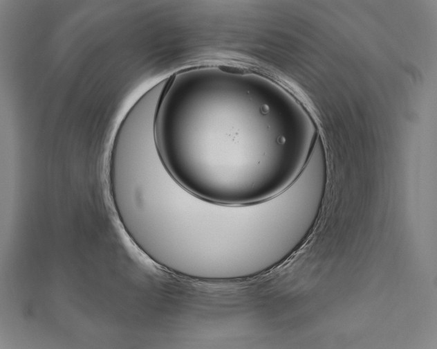 X0000112521152200908171349