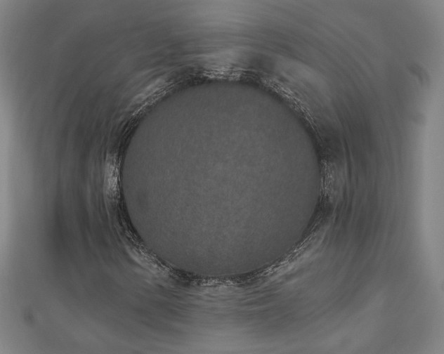 X0000112521154200908171348