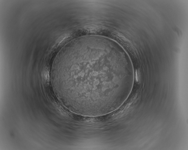 X0000112521155200908171348