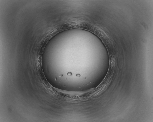 X0000112521156200908171348