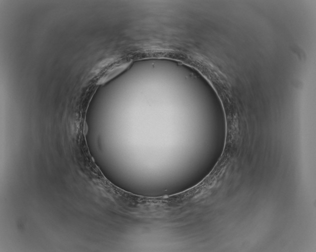 X0000112521157200908171348