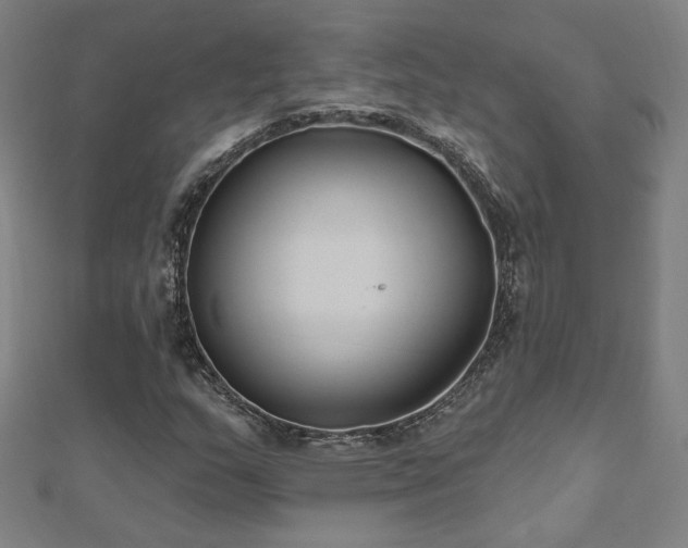 X0000112521159200908171348