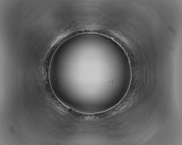 X0000112521160200908171348