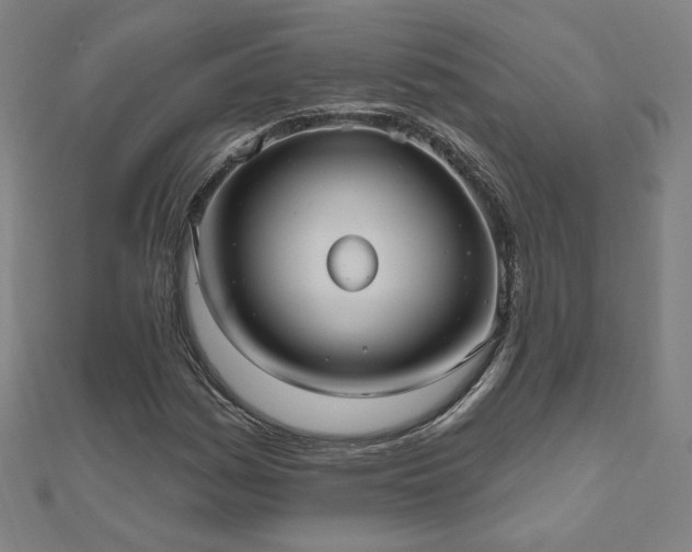 X0000112521161200908171348