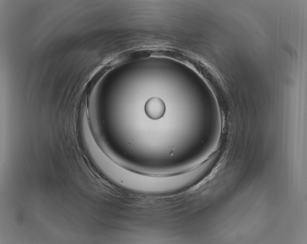 X0000112521162200908171348