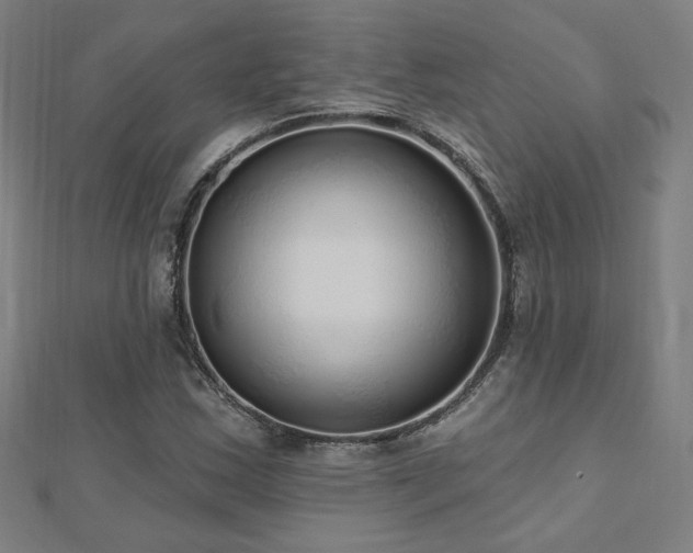 X0000112521163200908171348