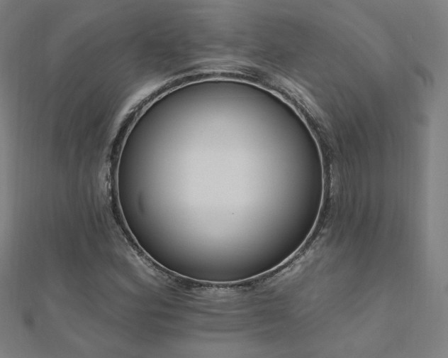 X0000112521164200908171348