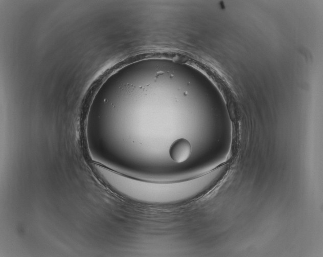 X0000112521165200908171348
