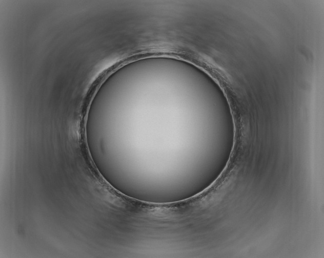 X0000112521166200908171348