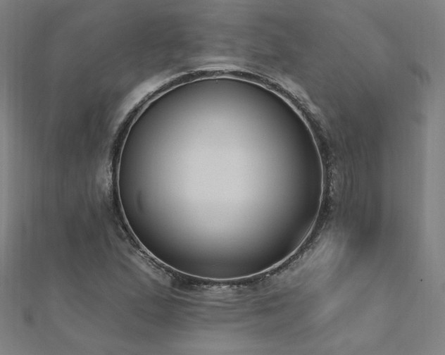 X0000112521167200908171348