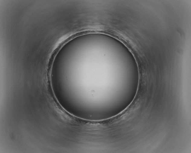 X0000112521168200908171348