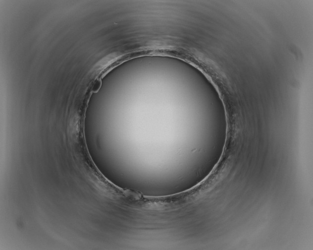 X0000112521169200908171348