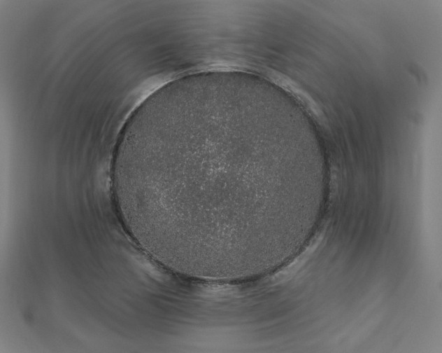 X0000112521170200908171348