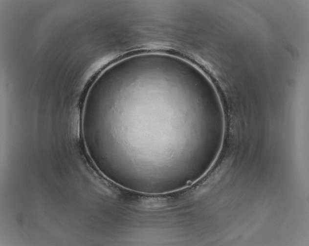X0000112521171200908171348