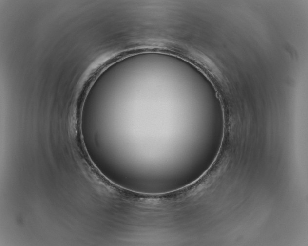 X0000112521172200908171348