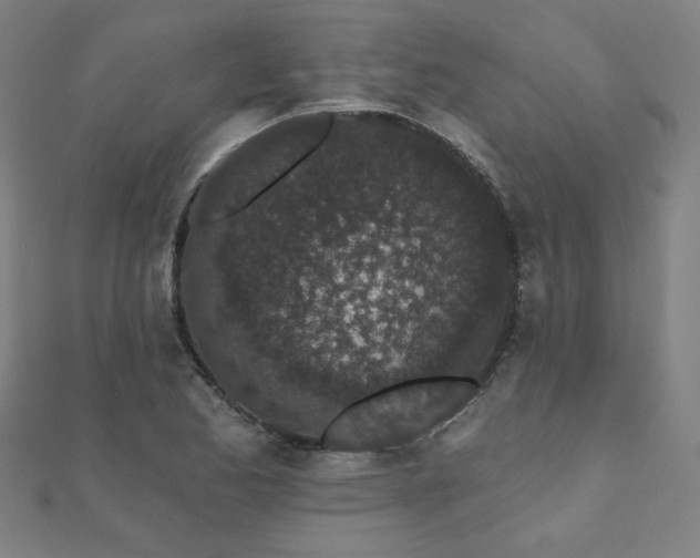 X0000112521173200908171348