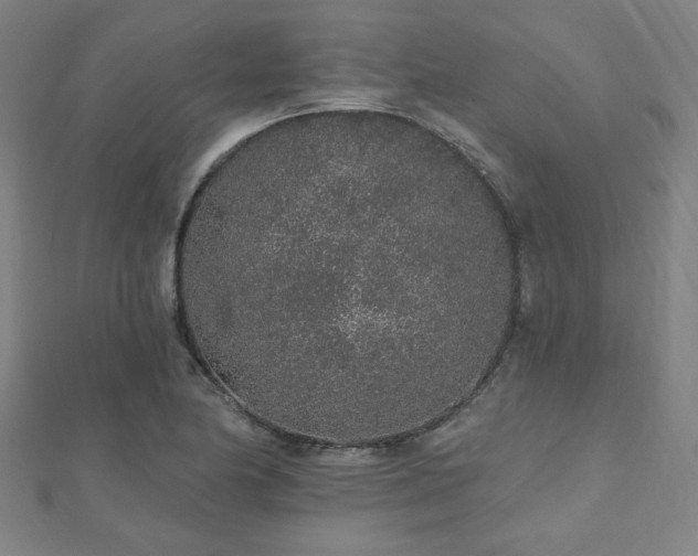 X0000112521174200908171348