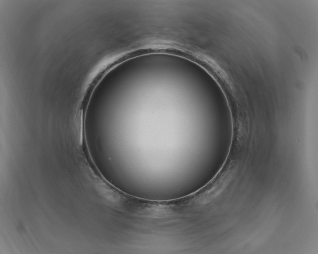 X0000112521175200908171348