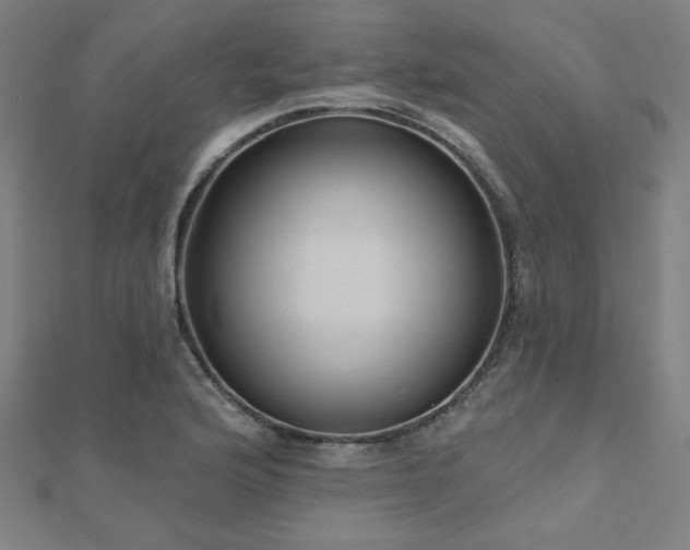 X0000112521176200908171348