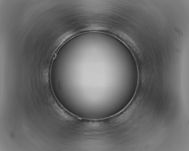 X0000112521177200908171348