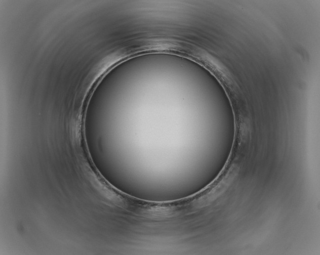 X0000112521178200908171348