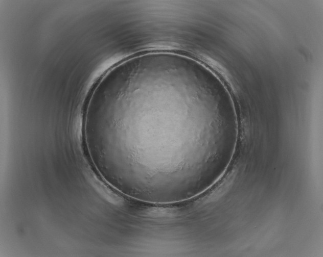 X0000112521179200908171348