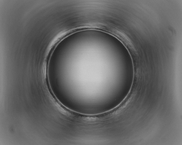 X0000112521180200908171348