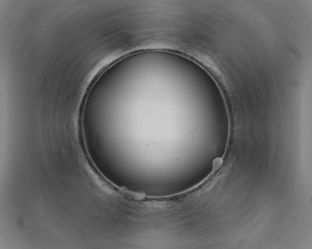 X0000112521181200908171348