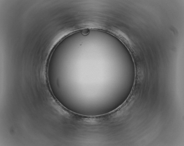 X0000112521182200908171348