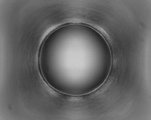 X0000112521183200908171348