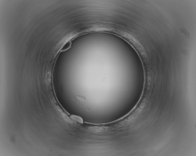 X0000112521185200908171348